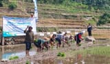 Pemkab Dorong Pengembangan Potensi Pertanian Organik Trenggulunan