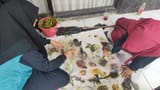SMKN 1 Sedan Kembangkan Ecoprint dan Shibori