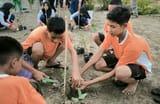 Tak Hanya Tanam Bakau, Jambore Mangrove 2024 Sajikan Transplantasi Karang Hingga Wayang Bahari