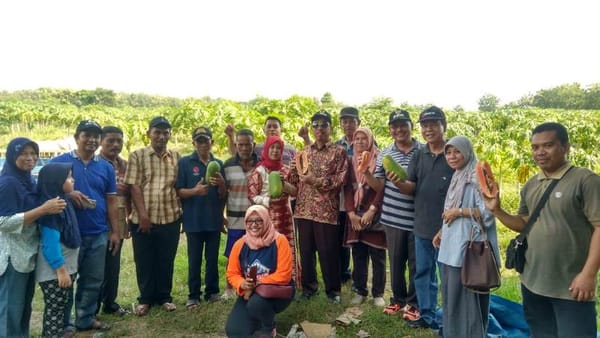 Petik Pepaya di Kebun Warga, Bupati Sarankan "Disulap" Jadi Agrowisata