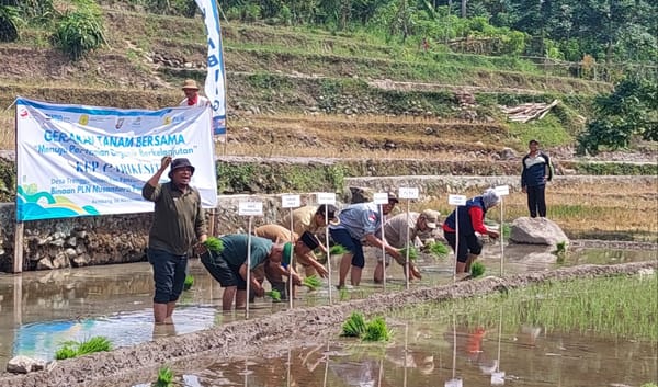 Pemkab Dorong Pengembangan Potensi Pertanian Organik Trenggulunan