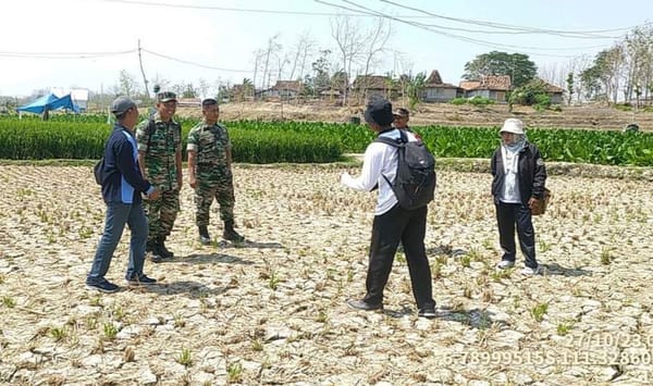 Ratusan Hektar Sawah Gagal Panen Ajukan Klaim Asuransi