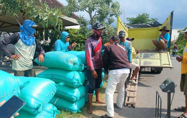 Pemerintah Jemput Bola Serap Gabah Petani untuk Jaga Harga Panen