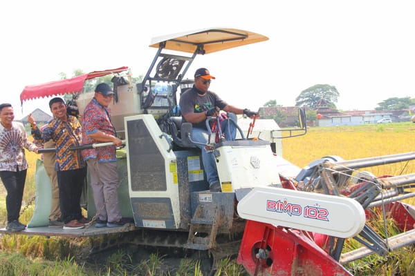 Wabup Rembang Panen Raya Padi, Tunjukkan Komitmen Pemerintah pada Ketahanan Pangan