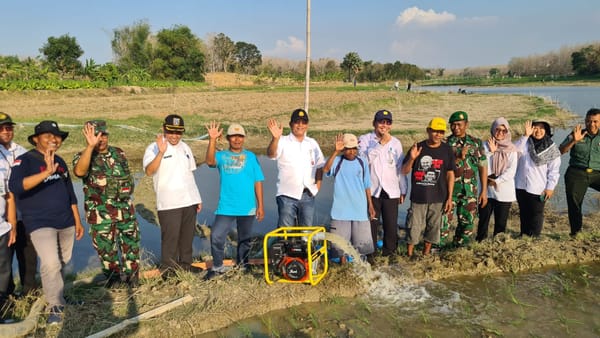 Pemerintah Genjot Perluasan Area Tanam Padi di Musim Kemarau dengan Pompanisasi dan Bantuan Benih