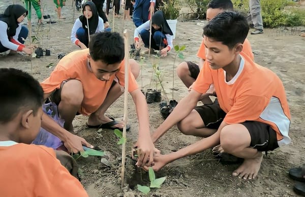 Tak Hanya Tanam Bakau, Jambore Mangrove 2024 Sajikan Transplantasi Karang Hingga Wayang Bahari