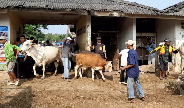 Pembangunan Pasar Hewan Pamotan Diundur ke 2025