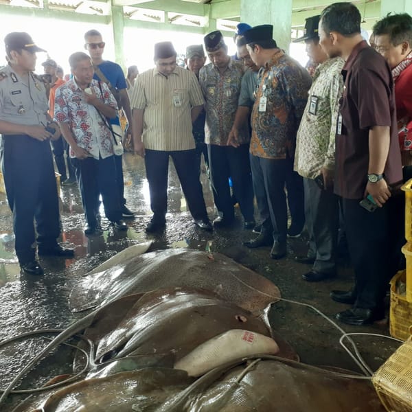 Pemkab Akan Panggil Pemilik Pabrik Pengolah Ikan