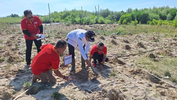 Pemkab Rembang Tegaskan Komitmen Pelestarian Hutan Pesisir dengan Penanaman Mangrove