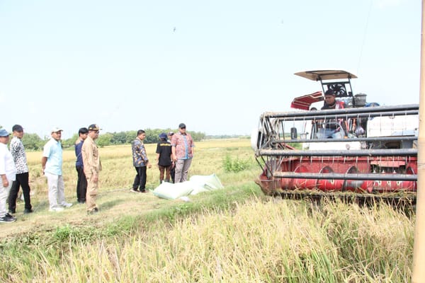 Produksi Padi di Rembang Capai 56 Ribu Ton, Panen Sudah 18 Ribu Hektare