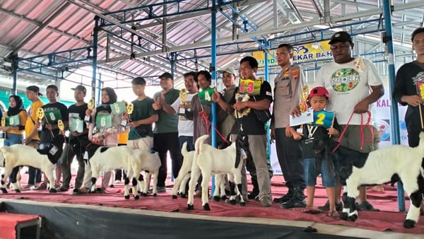 Ratusan Peternak Ikuti Kontes Kambing, Wabup Hanies Optimis Peternakan di Rembang Berkembang