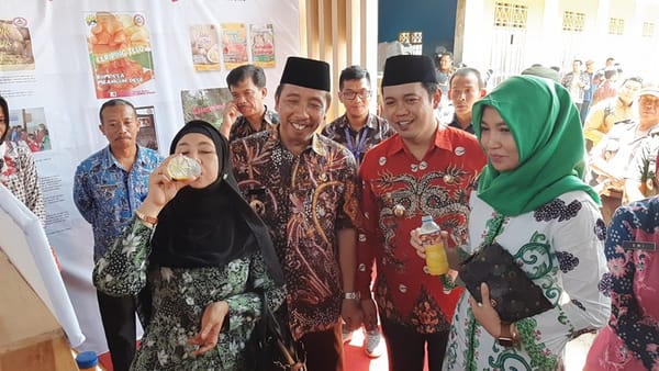Bupati Hafidz : Inovasi Desa Tak Harus Tentang Pariwisata