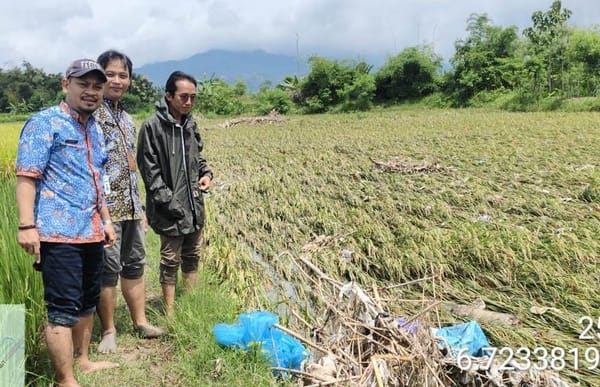 914 Hektar Sawah di Rembang Terdampak Banjir, Tidak Ada Padi Puso